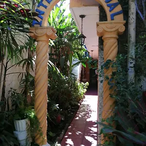 https://hotel-internacional-guest-house.guatemalaantiguahotels.com